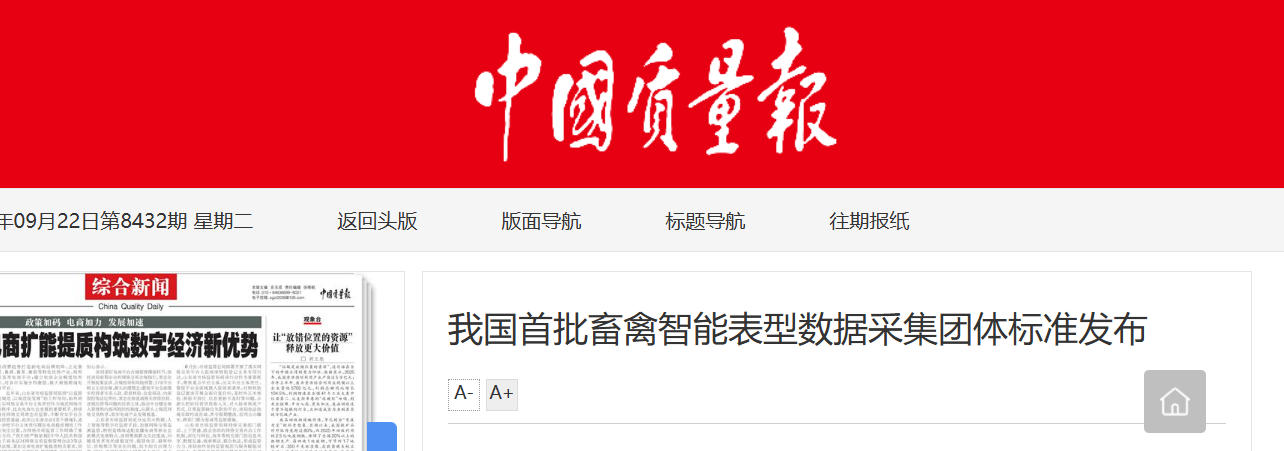 团体标准