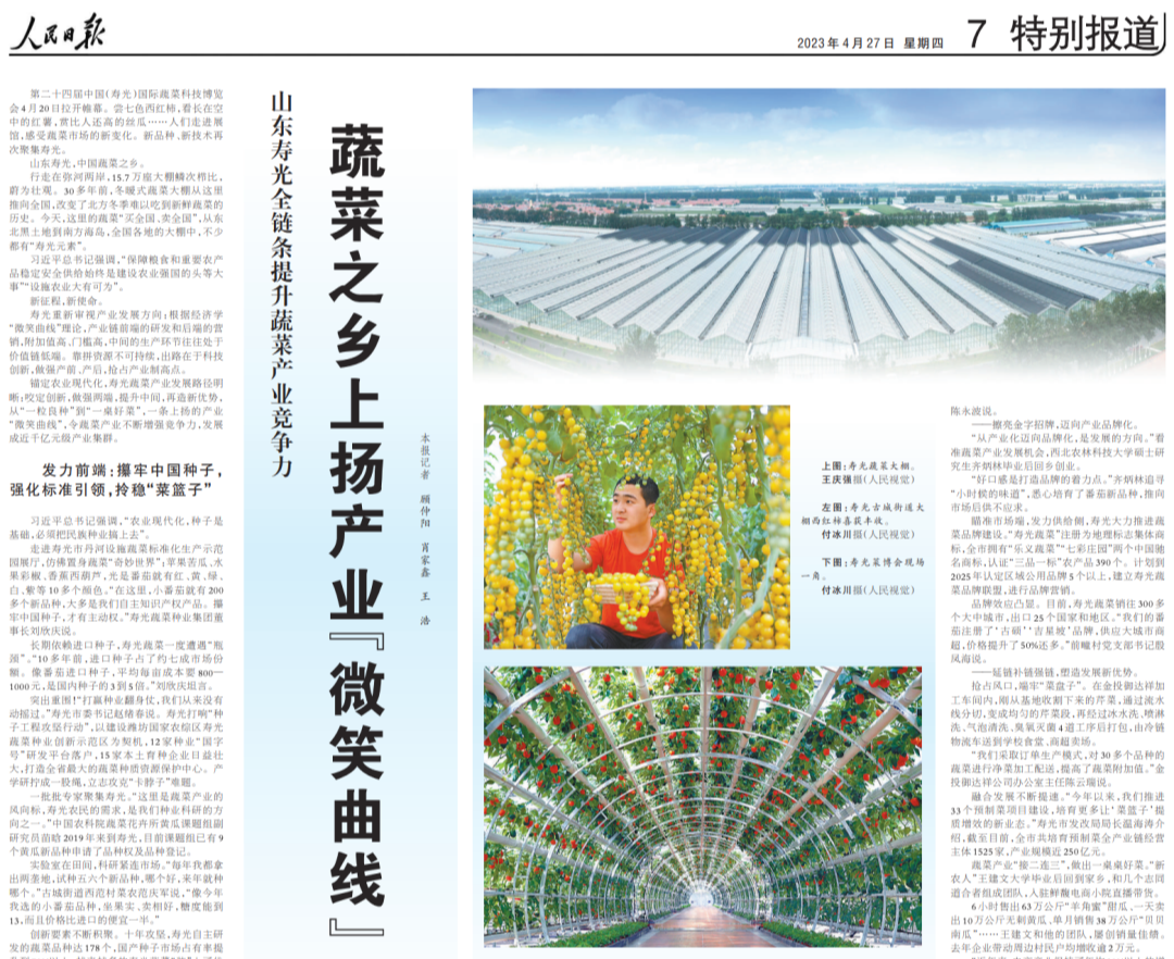 团体标准